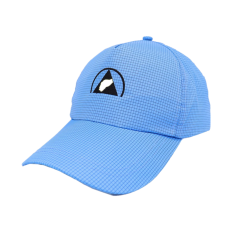 ESD baseball cap